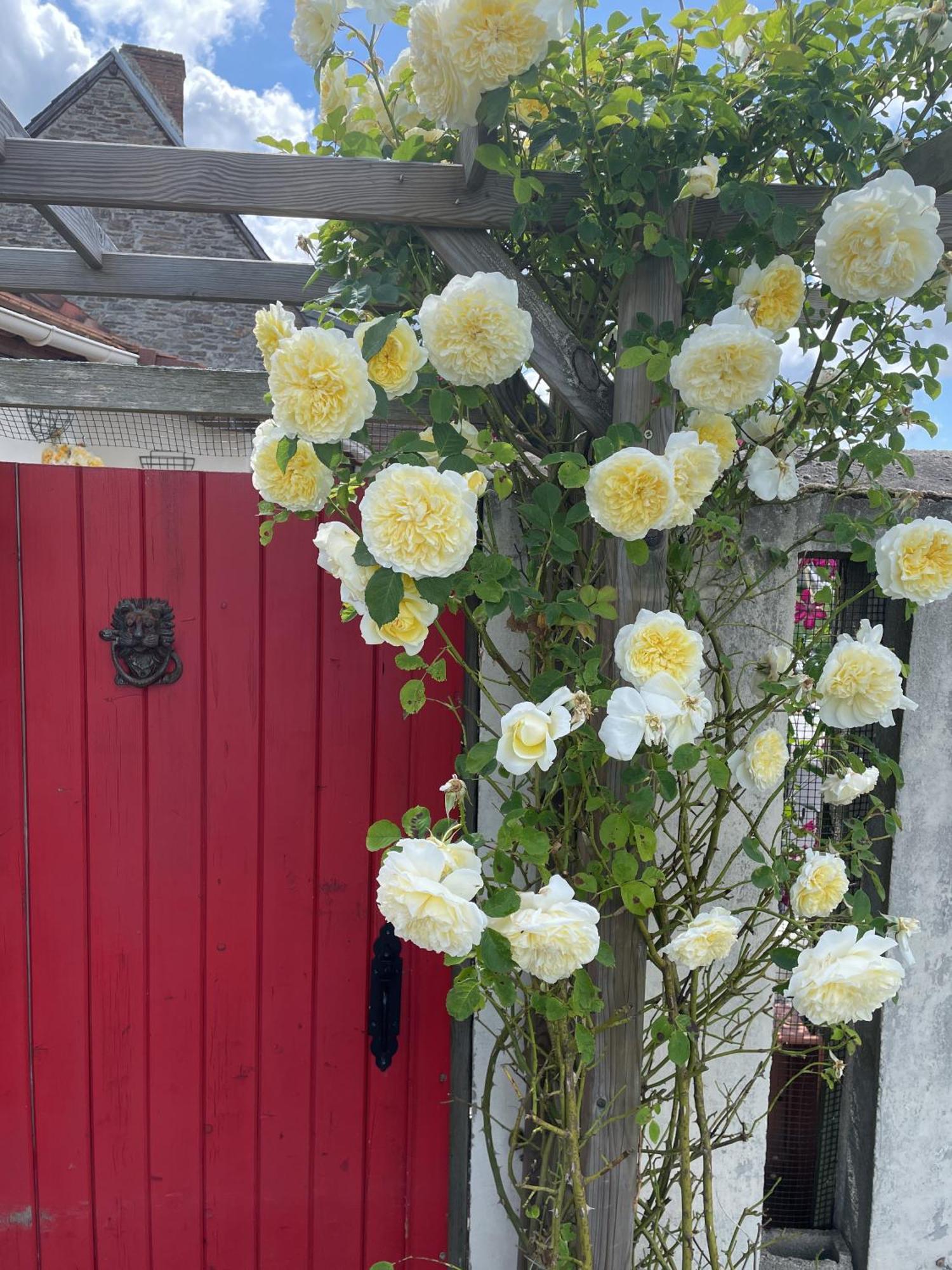 Delightful French Rustic Studio Jumilhac-le-Grand Екстер'єр фото